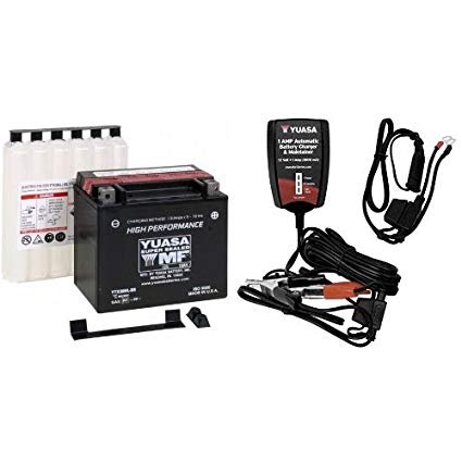 Yuasa YUAM620BH YTX20HL-BS Battery and Automatic Charger Bundle