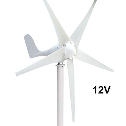 Taishi 400W Power 12V/24V 5 Blades Horizontal Wind Turbine Generator Kit With Controller (12V)